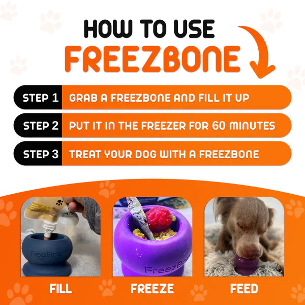 FreezBone™ Frozen Enrichment Toy