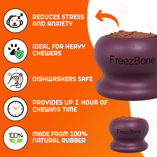 FreezBone™ Frozen Enrichment Toy