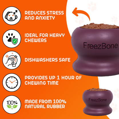 FreezBone™ Frozen Enrichment Toy