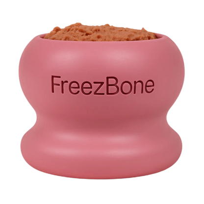 FreezBone™ Frozen Enrichment Toy