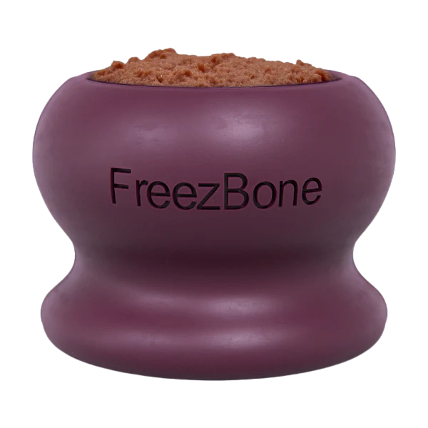 FreezBone™ Frozen Enrichment Toy