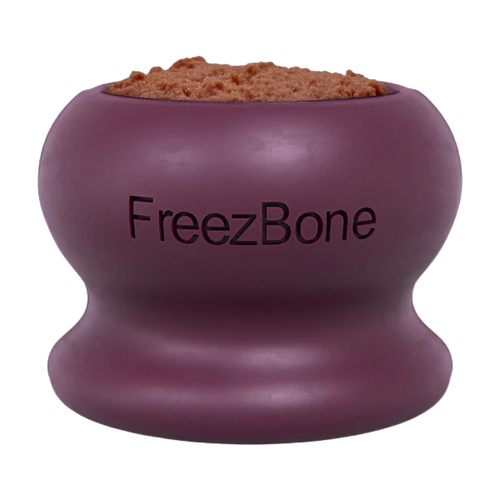 FreezBone™ Frozen Enrichment Toy
