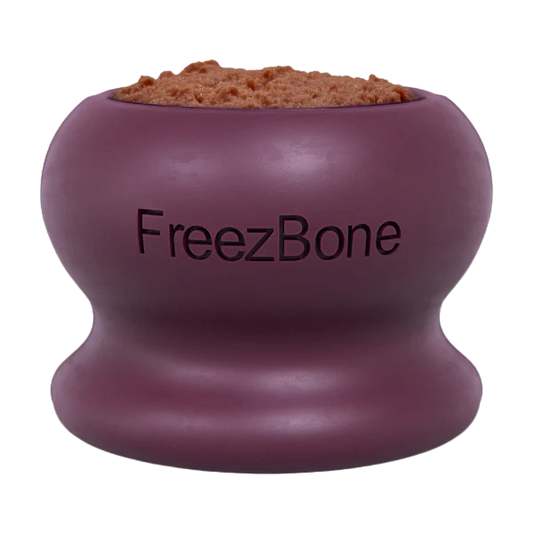 FreezBone™ Frozen Enrichment Toy